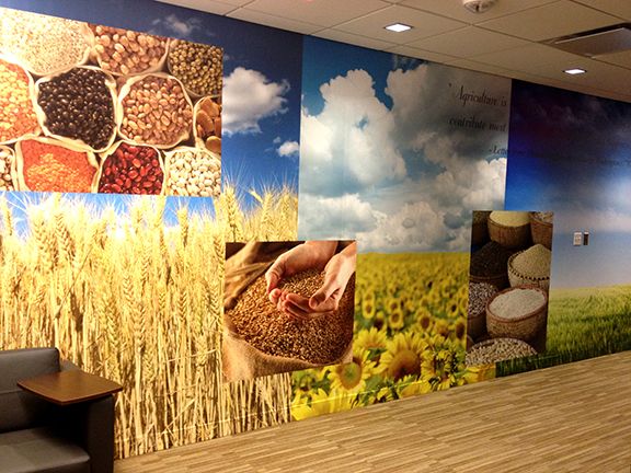 custom printed wall wrap experiential design